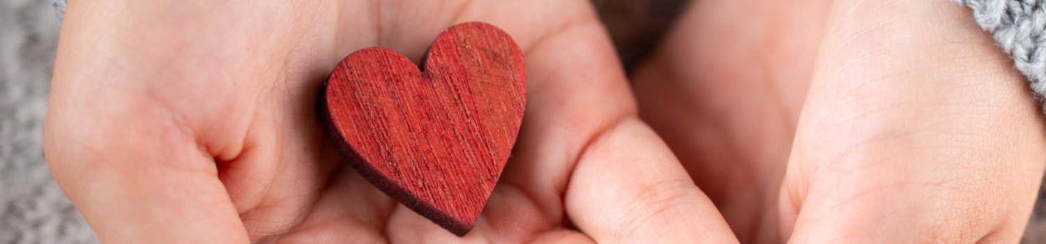 Christmas decor in women hand. Christmas greeting card. Woman's